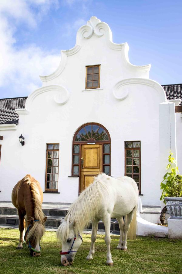 Victoria Heights B&B George Dış mekan fotoğraf